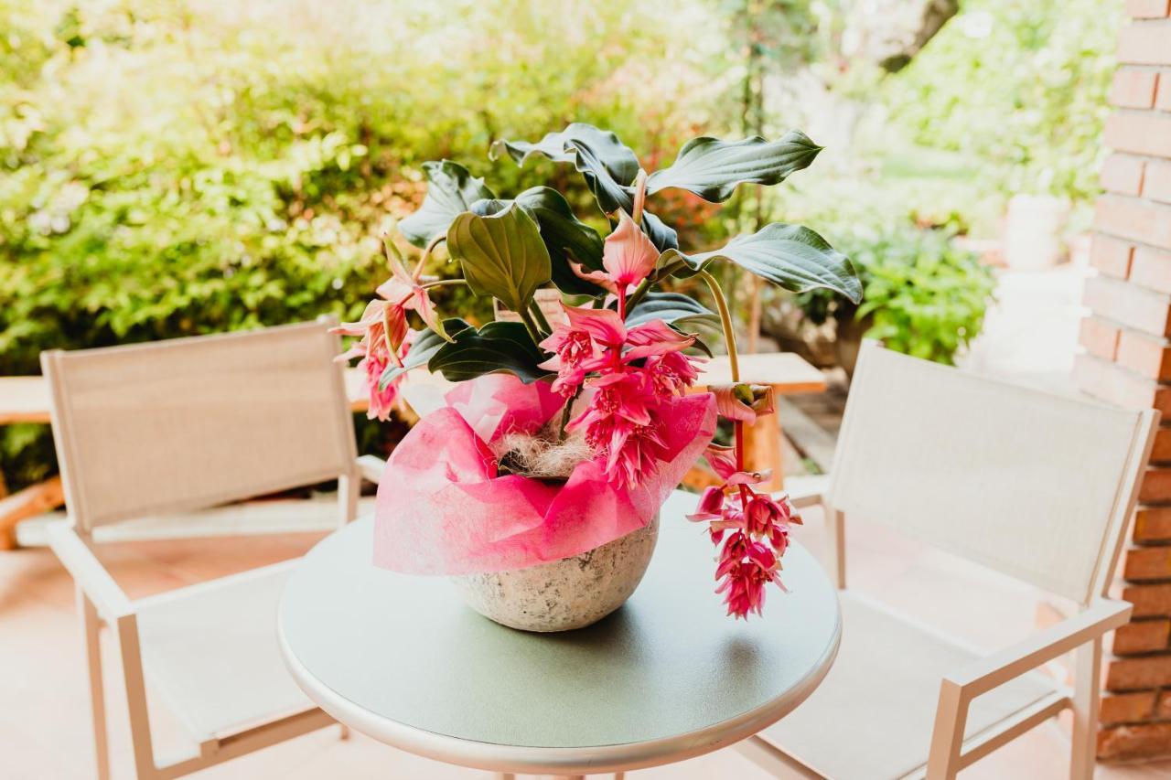 Nido Del Gelso Villa Verona Ngoại thất bức ảnh